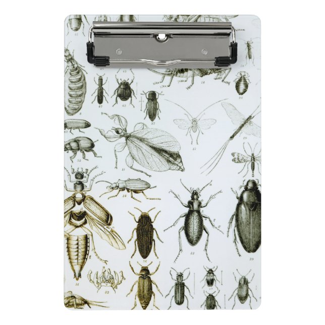 Entomology Insects Mini Clipboard (Front)