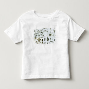 Entomology Insects Toddler T-shirt