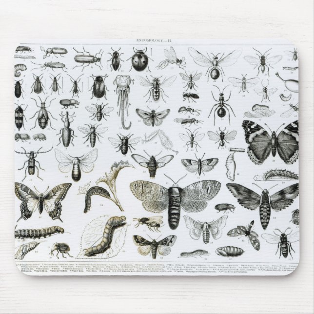 Entomology Mouse Pad (Front)