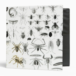 Entomology, Myriapoda and Arachnida Binder