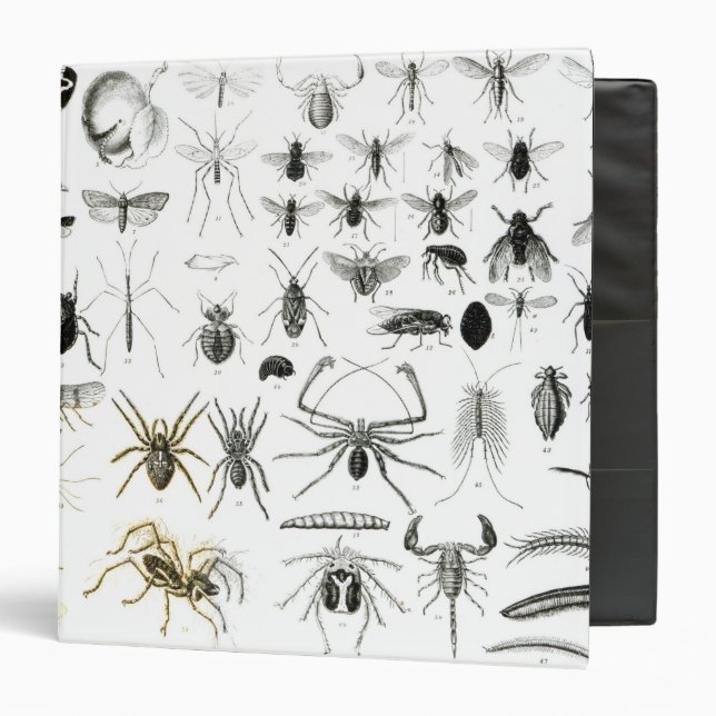 Entomology, Myriapoda and Arachnida Binder (Front/Inside)