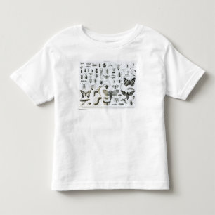 Entomology Toddler T-shirt