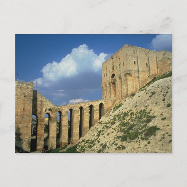 Entrance bridge and moat, The Citadel, Aleppo, Syr Postcard (Front)