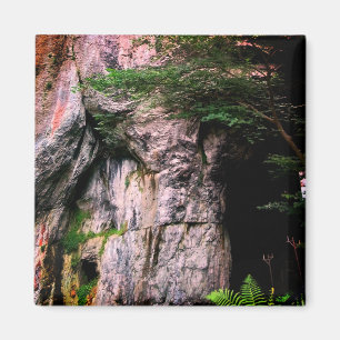 Entrance to the cave magnet