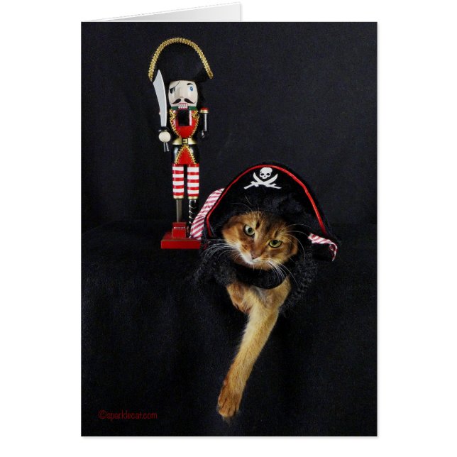 Entretien comme un chat de Somalien de jour de (Devant)