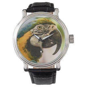 Entretien comme une montre de pirate