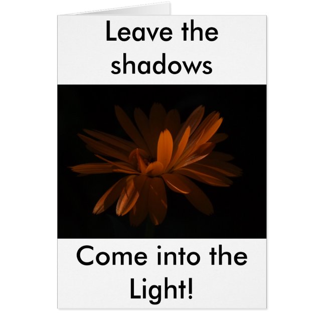 Entrez dans la lumière ! (Devant)