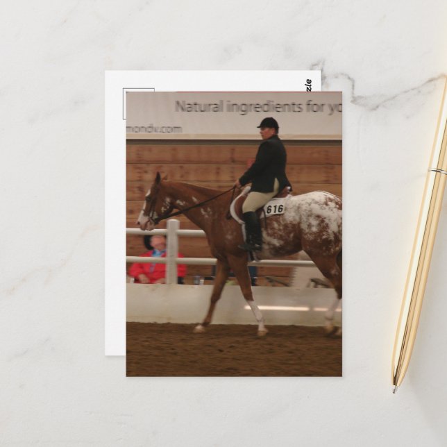 Entry Number 616 Horse Show Postcard (Front/Back In Situ)