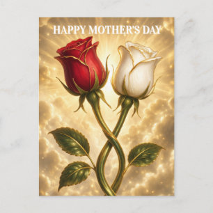 Entwined red and white roses. postcard