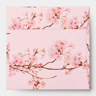 Envelope
