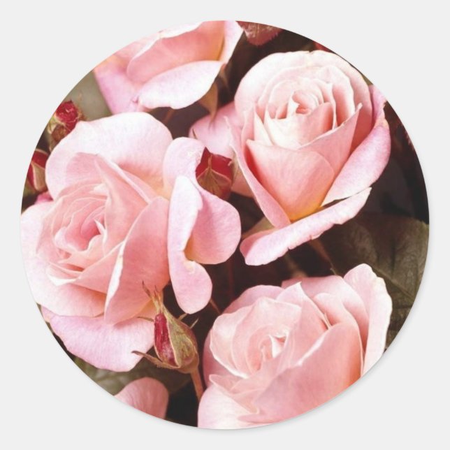 Envelope Seals (Front)