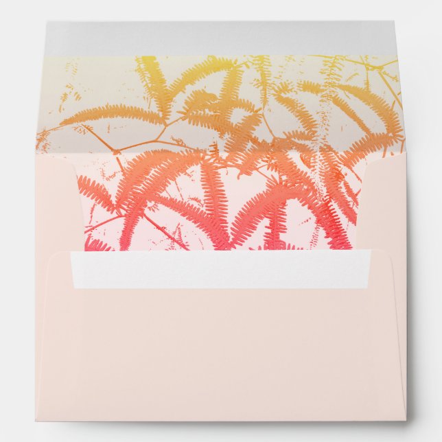 Enveloppe (Dos (Bas))
