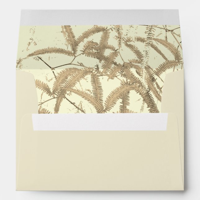 Enveloppe (Dos (Bas))