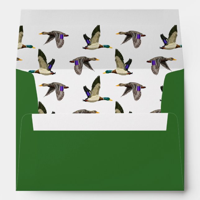 Enveloppe Amateurs de canard de Mallard (Dos (Bas))