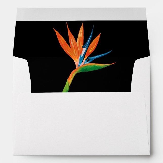 Enveloppe Aquarelle Oiseau de Paradis (Dos (Bas))