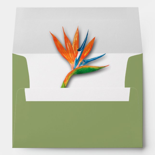 Enveloppe Aquarelle Oiseau de Paradise Liner Vert (Dos (Bas))