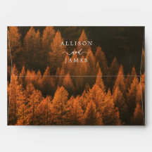 Autumn Woods Minimalist