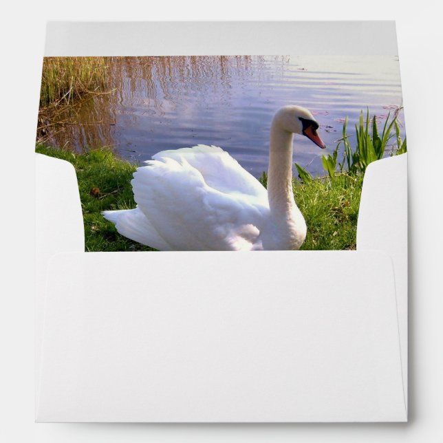 Enveloppe Beaux cygnes oiseaux animaux  (Dos (Bas))