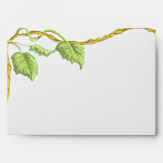 Enveloppe blanche de la vigne