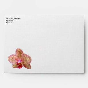 Enveloppe blanche orchidée