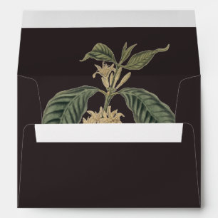 Enveloppe Bohème Élégance Rustique Hiver Café Plante Noir