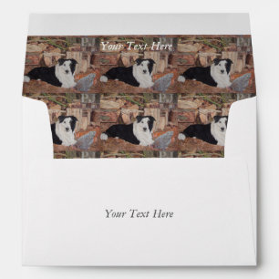 Enveloppe border collie dans le rondin jeté avec le portrai