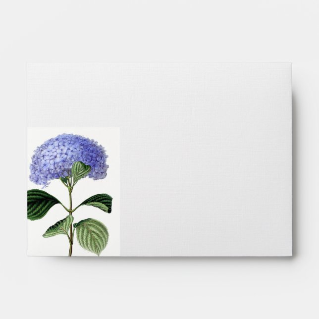 Enveloppe botanique de carte d'hortensia (Devant)