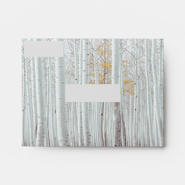 Enveloppe Bouleaux blancs feuilles jaunes d'automne  (Devant)