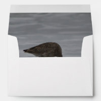 Bows Sandpiper