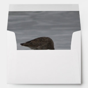 Enveloppe Bows Sandpiper