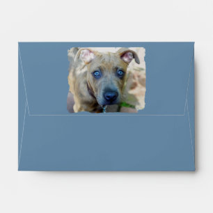Enveloppe Brindle Pit Bull Puppy par Shirley Taylor