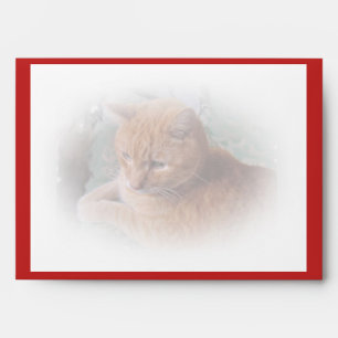 Enveloppe Bubba l'Orange Tabby Tomcat Valentine