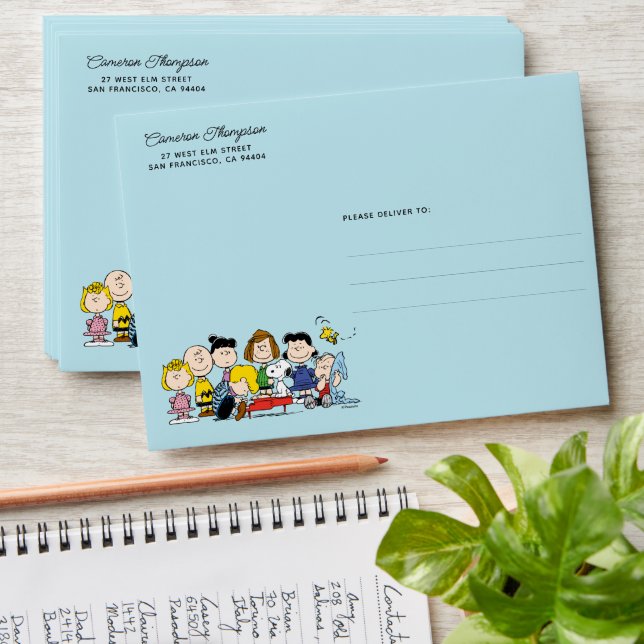 Enveloppe cacahuètes | Charlie Brown et Gang Anniversaire (Stacked)