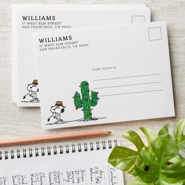 Enveloppe cacahuètes | Décorations Spike pour les fêtes (Stacked)