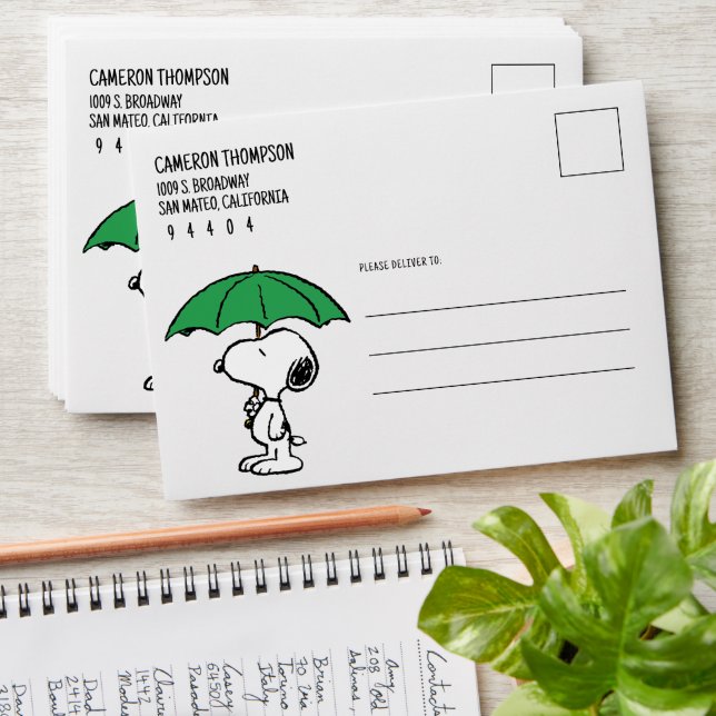 Enveloppe cacahuètes | Parapluie vert Snoopy (Stacked)