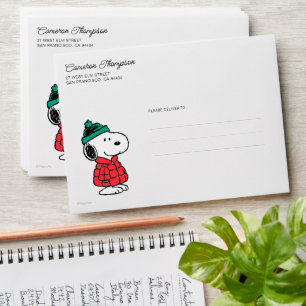 Enveloppe cacahuètes Snoopy Chat d'hiver et Casquette