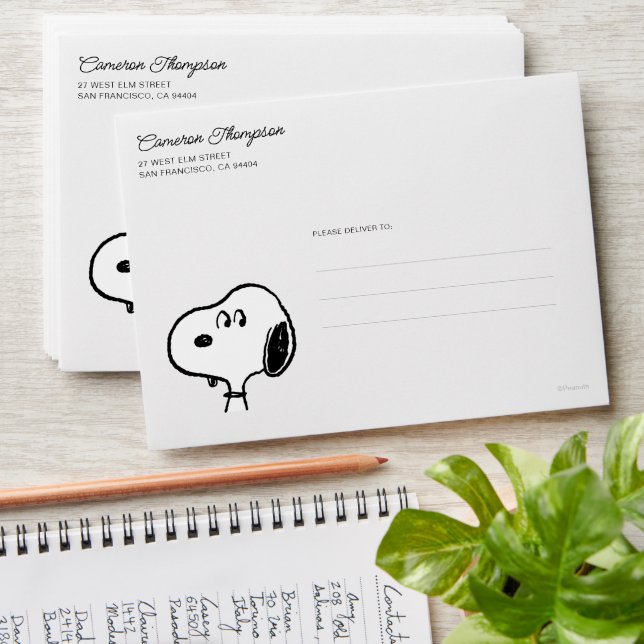 Enveloppe cacahuètes | Snoopy Looks (Stacked)