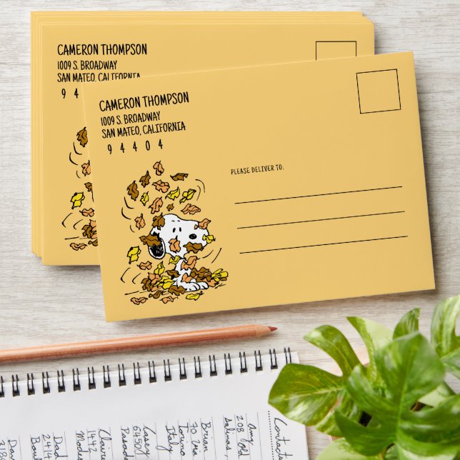 Enveloppe cacahuètes | Snoopy Pile de Feuilles (Stacked)