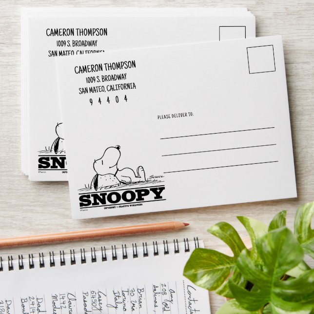 Enveloppe cacahuètes | Snoopy Reest Break (Stacked)