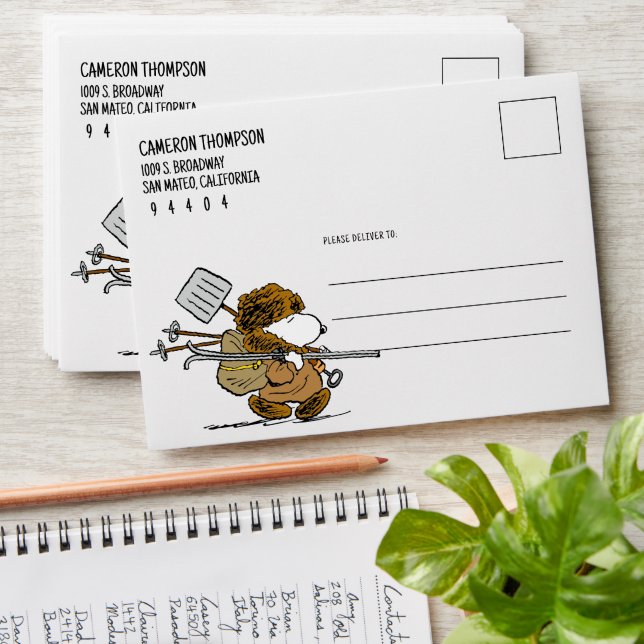 Enveloppe cacahuètes | Snoopy Snow Warrior (Stacked)