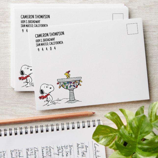 Enveloppe cacahuètes | Snoopy & Woodstock Froid Birdbath (Stacked)