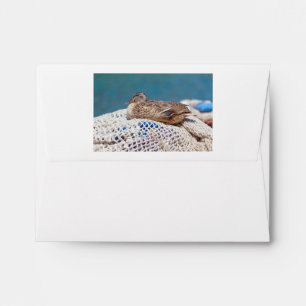 Enveloppe Canard de repos