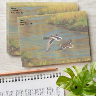 Enveloppe Canards-Majards Survolant L'Étang