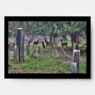 Enveloppe Cerf À Zentralfriedhof