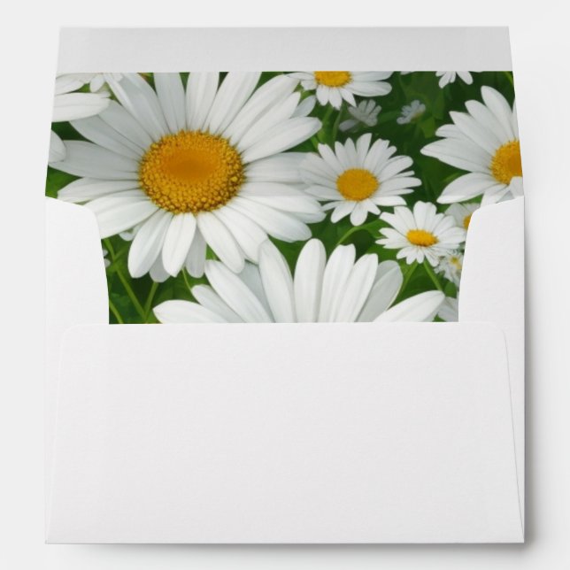 Enveloppe Champs fleuris blancs à motif de marguerite classi (Dos (Bas))