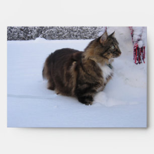 Enveloppe chat des forêts norvégiennes dans la neige