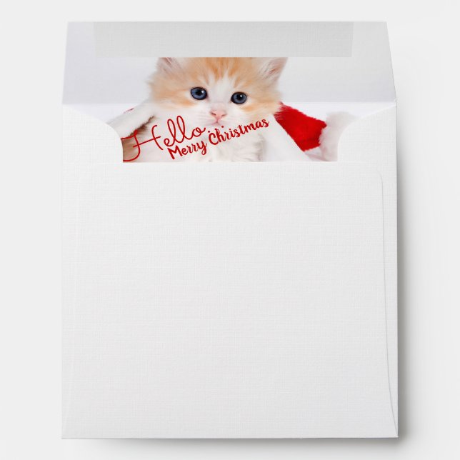 Enveloppe Chat Drôle Je Me Suis Réveillé Comme Ce Jour De No (Dos (Bas))