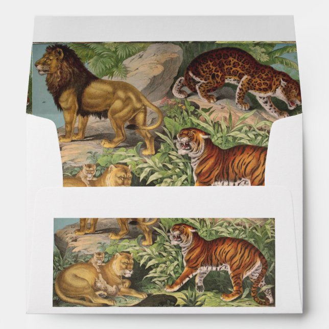 Enveloppe Chats de la Jungle Lion Tiger Leopard Nature Vinta (Dos (Bas))