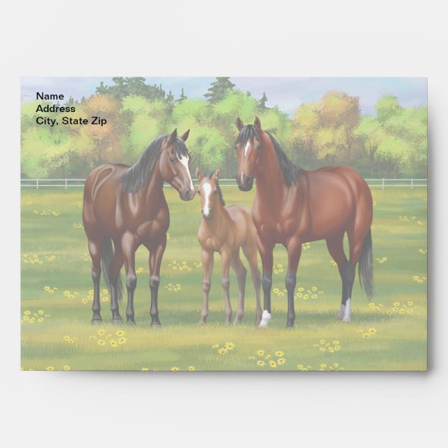 Enveloppe Chevaux Du Quartier De La Baie Brown Dans Les Pâtu (Devant)