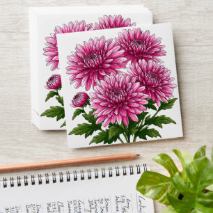 Enveloppe Chrysanthèmes roses vibrants en fleurs